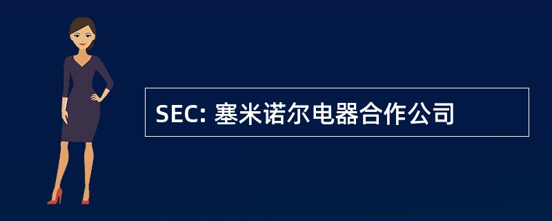 SEC: 塞米诺尔电器合作公司