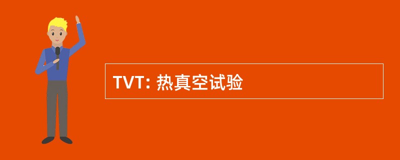 TVT: 热真空试验