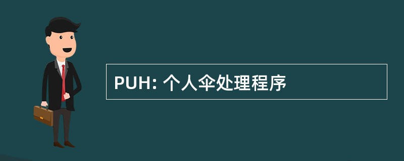 PUH: 个人伞处理程序