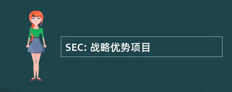 SEC: 战略优势项目