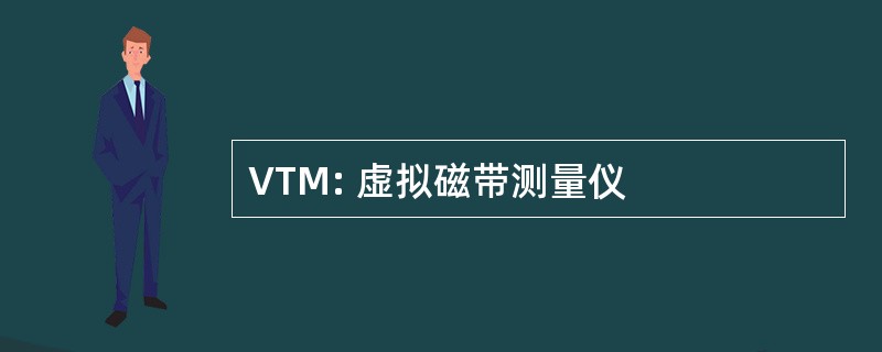 VTM: 虚拟磁带测量仪