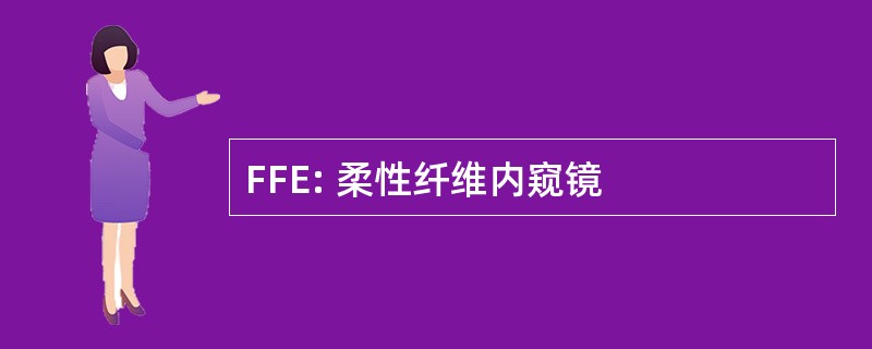 FFE: 柔性纤维内窥镜