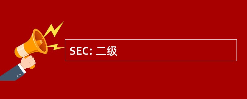 SEC: 二级