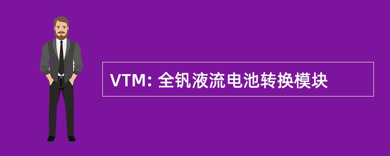 VTM: 全钒液流电池转换模块