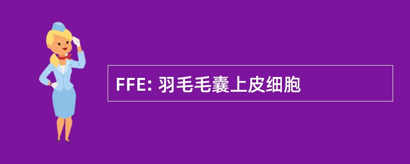 FFE: 羽毛毛囊上皮细胞