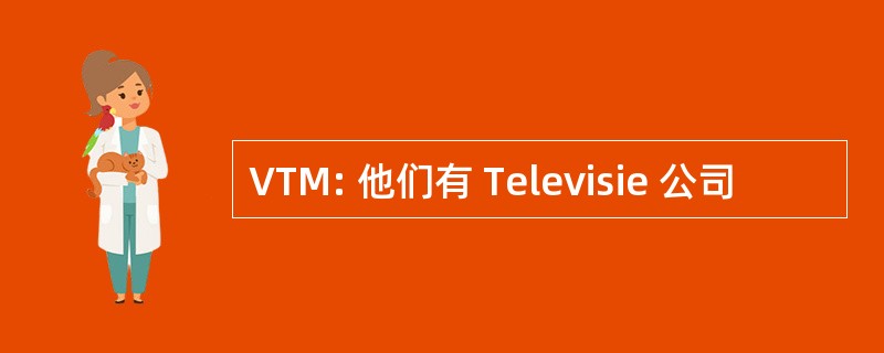 VTM: 他们有 Televisie 公司