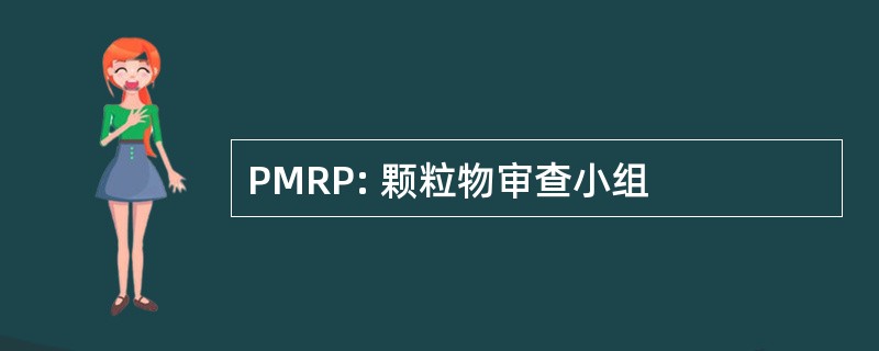 PMRP: 颗粒物审查小组