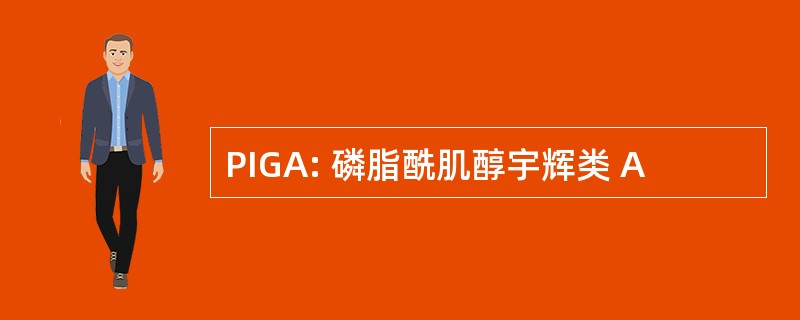 PIGA: 磷脂酰肌醇宇辉类 A