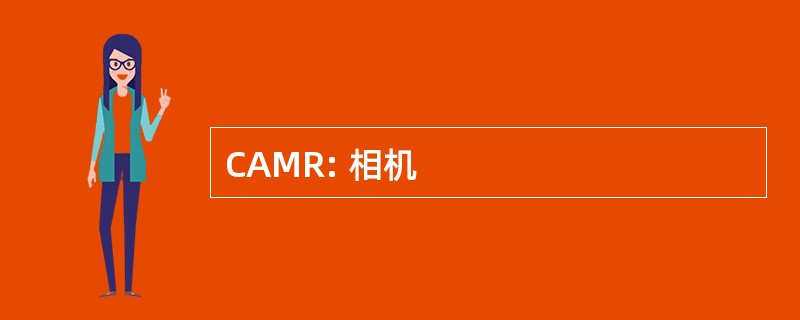 CAMR: 相机