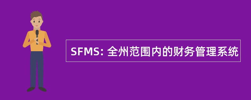 SFMS: 全州范围内的财务管理系统