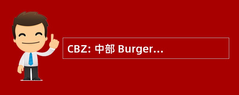 CBZ: 中部 Burgerlijke Ziekeninrichting