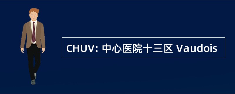 CHUV: 中心医院十三区 Vaudois