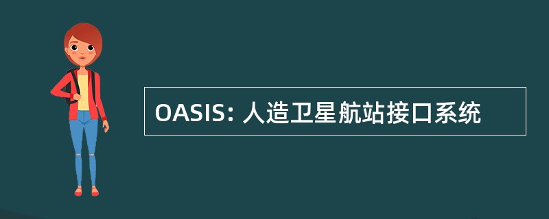 OASIS: 人造卫星航站接口系统