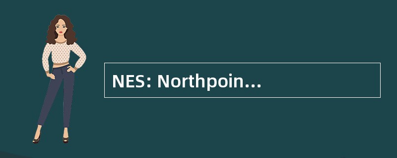 NES: Northpoint 能源解决方案，公司