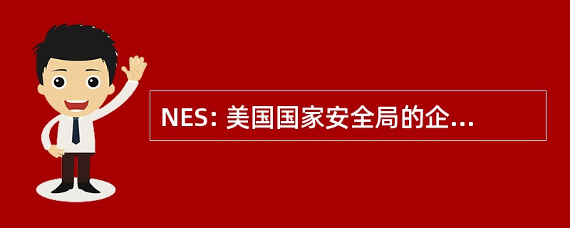 NES: 美国国家安全局的企业解决方案