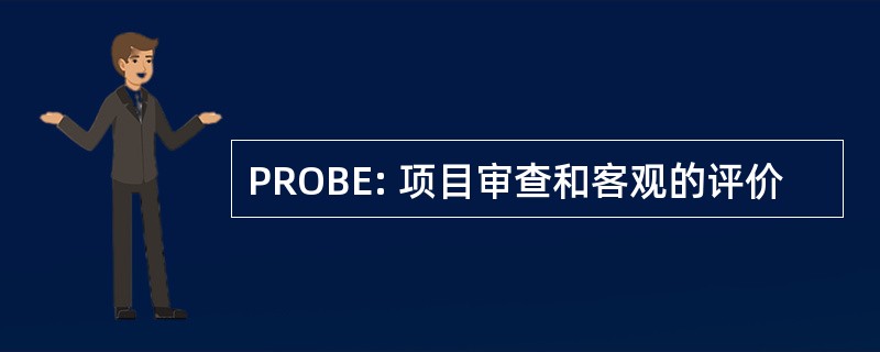 PROBE: 项目审查和客观的评价