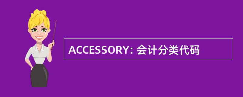 ACCESSORY: 会计分类代码