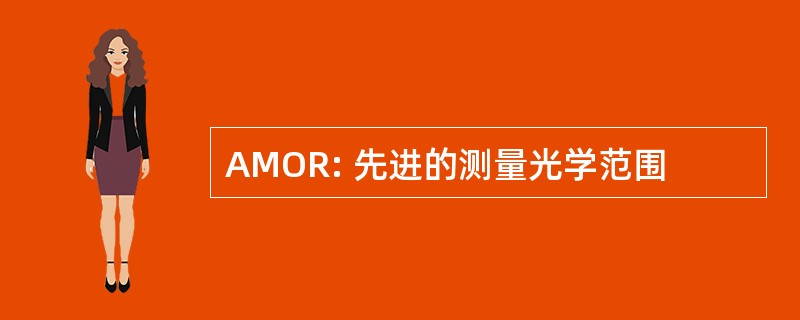 AMOR: 先进的测量光学范围