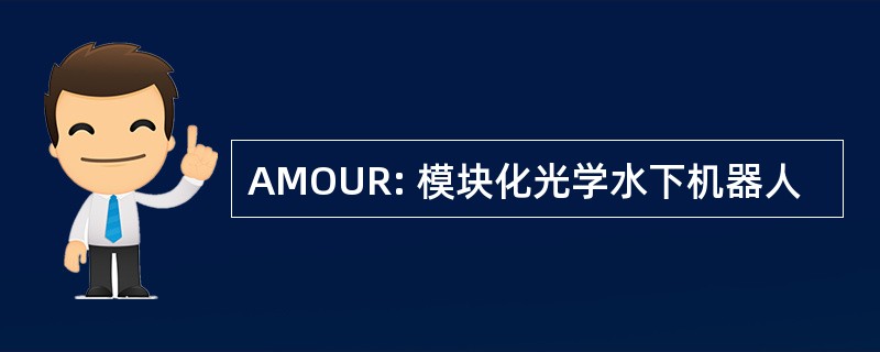 AMOUR: 模块化光学水下机器人