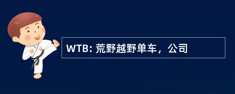 WTB: 荒野越野单车，公司