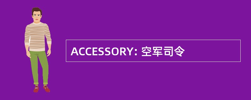 ACCESSORY: 空军司令