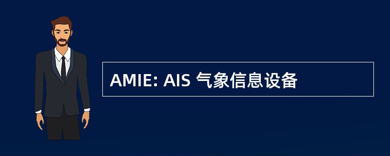 AMIE: AIS 气象信息设备