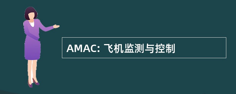 AMAC: 飞机监测与控制