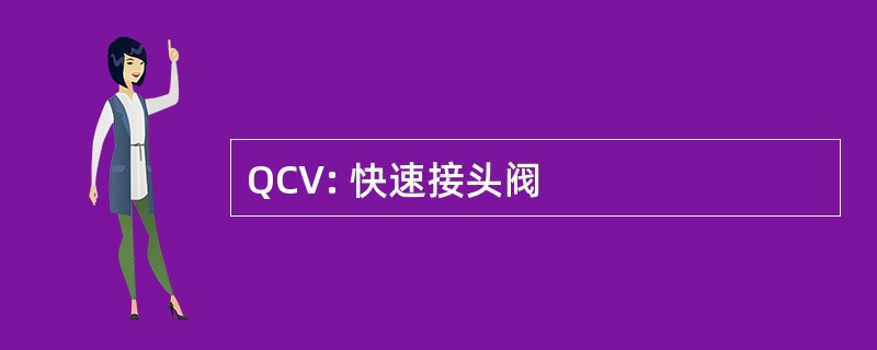 QCV: 快速接头阀