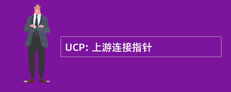 UCP: 上游连接指针