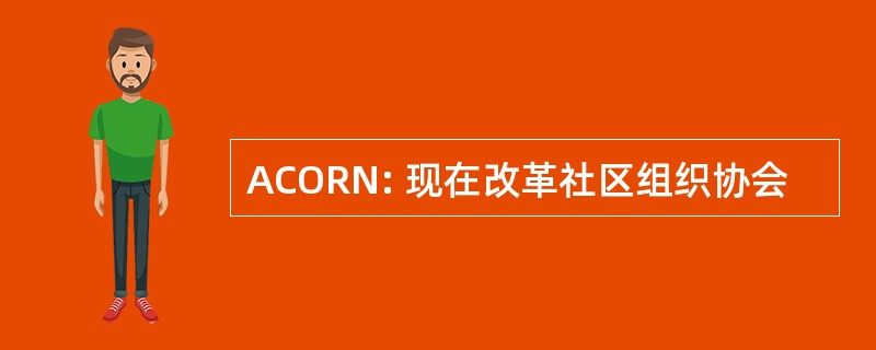 ACORN: 现在改革社区组织协会