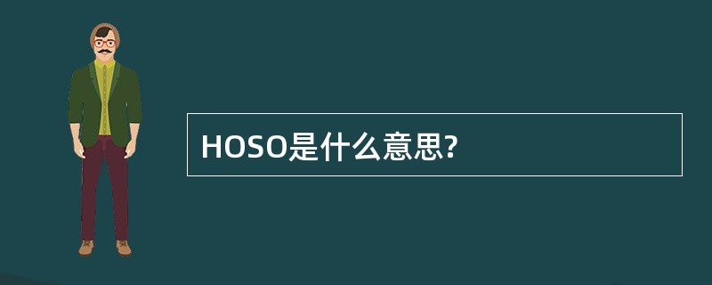 HOSO是什么意思?