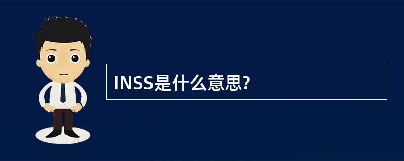 INSS是什么意思?