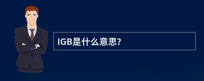 IGB是什么意思?