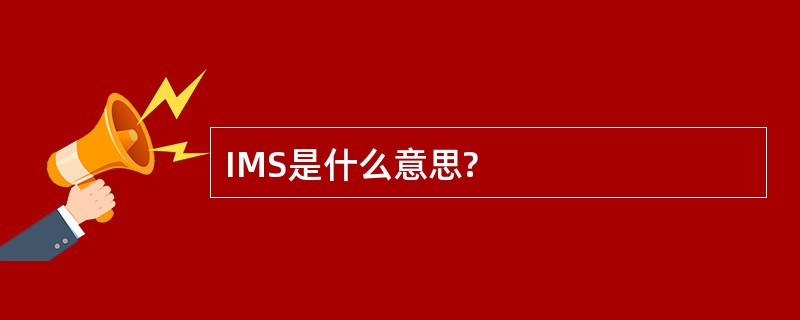 IMS是什么意思?