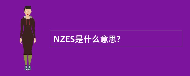 NZES是什么意思?