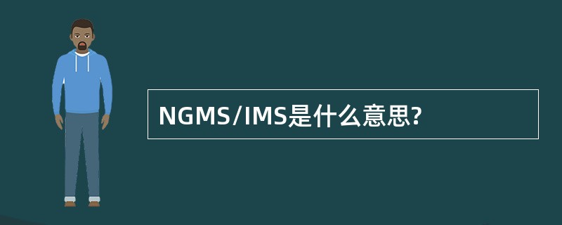 NGMS/IMS是什么意思?