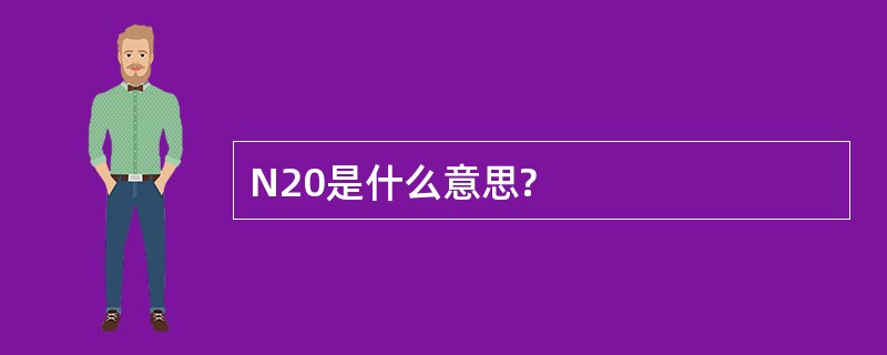 N20是什么意思?