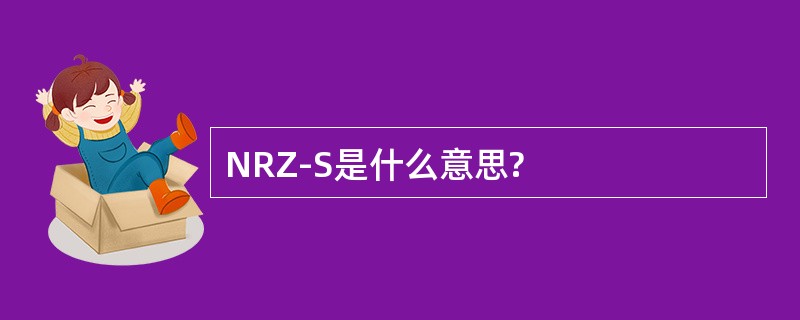 NRZ-S是什么意思?