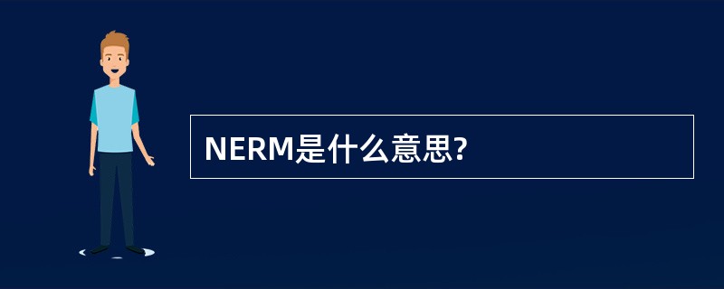 NERM是什么意思?