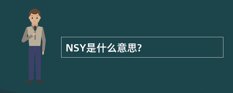 NSY是什么意思?