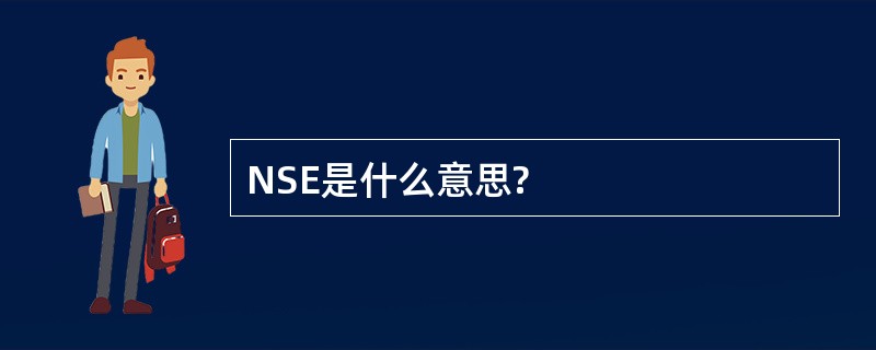 NSE是什么意思?