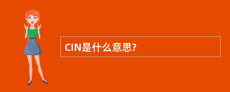 CIN是什么意思?