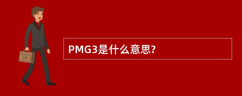 PMG3是什么意思?