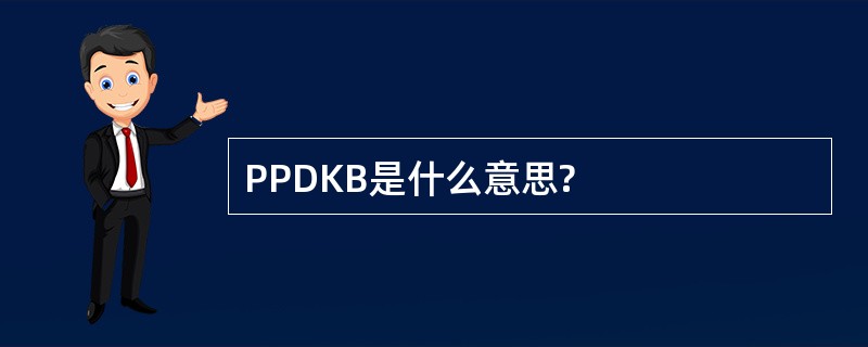 PPDKB是什么意思?