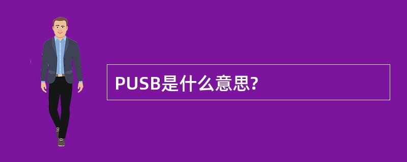 PUSB是什么意思?