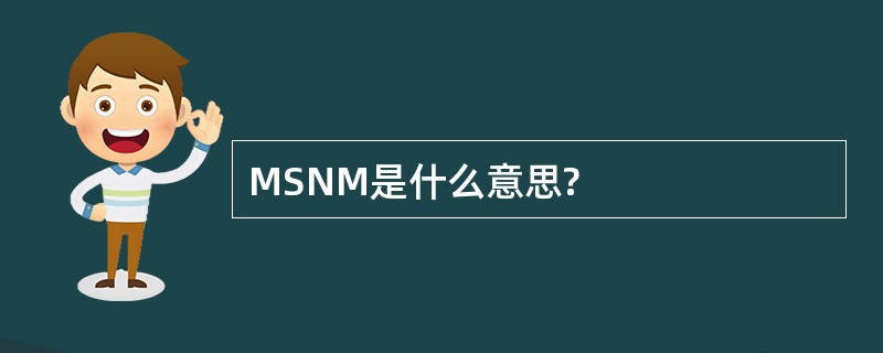 MSNM是什么意思?