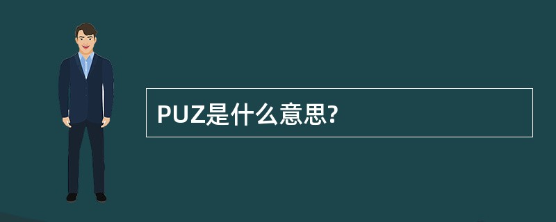 PUZ是什么意思?