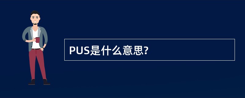 PUS是什么意思?