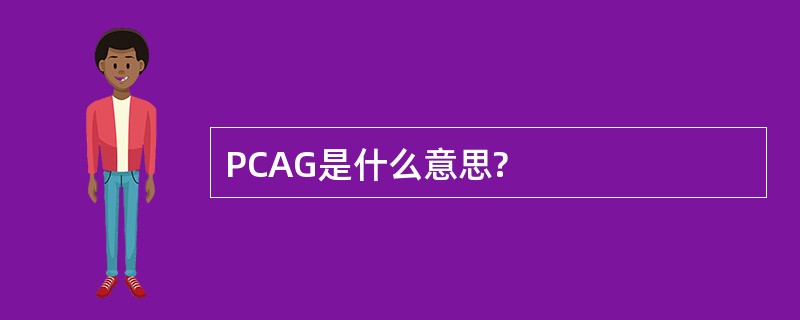 PCAG是什么意思?