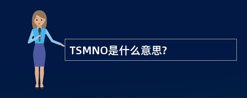 TSMNO是什么意思?